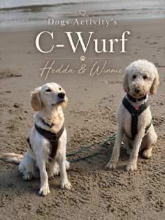C_Wurf.png