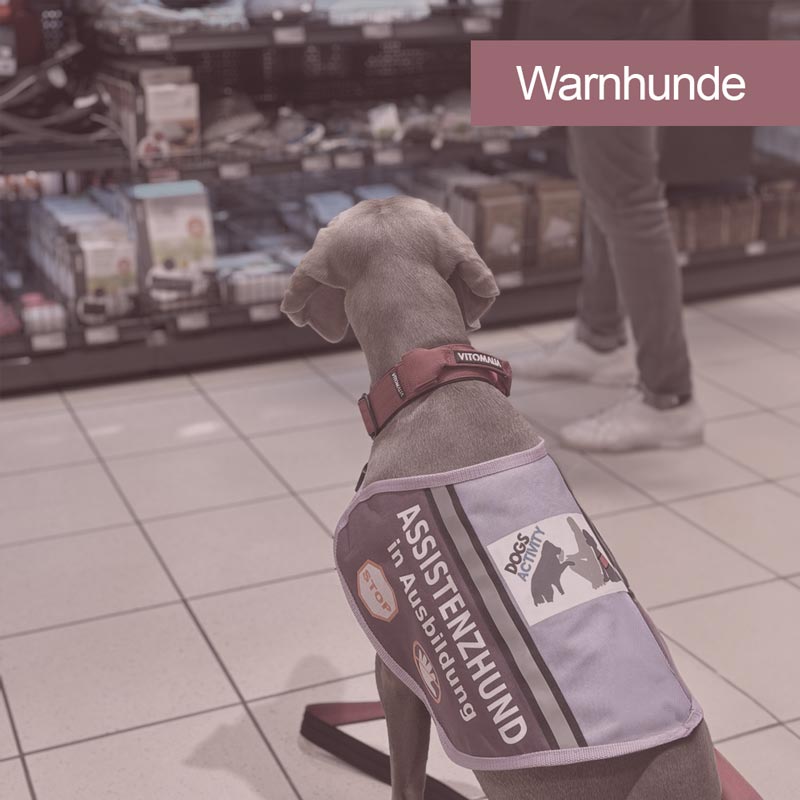 images/module/assistenzhunde/warnhunde.jpg#joomlaImage://local-images/module/assistenzhunde/warnhunde.jpg?width=800&height=800